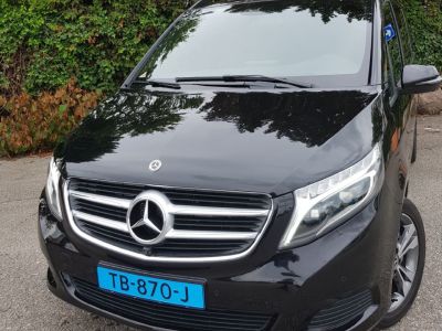 Mercedes taxi van to Schiphol